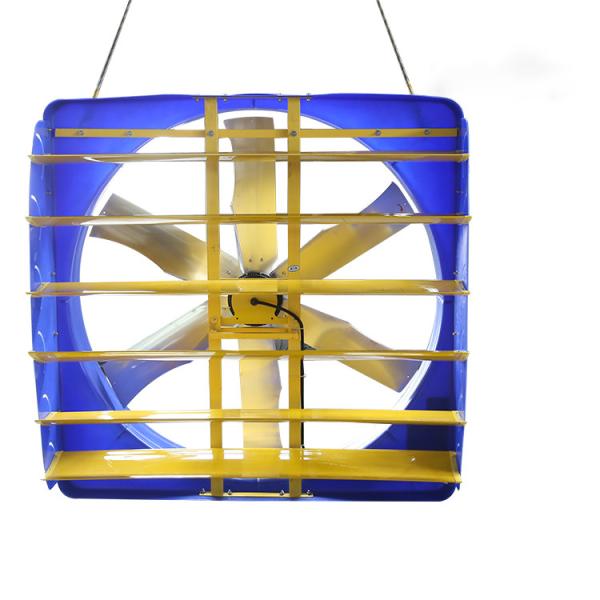 Buy Galvanized Steel Livestock Circulation Fan For Poultry Cooling at wholesale prices