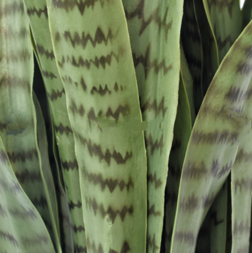 Height 100cm Artificial Potted Floor Plants Agave For Hotel Decor