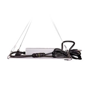 2KG 450nm Lm301b White LED Grow Light For Vegetables