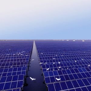 PV Solar Mounting Systems Fishing Light Complementary Integrated Floating Tidal