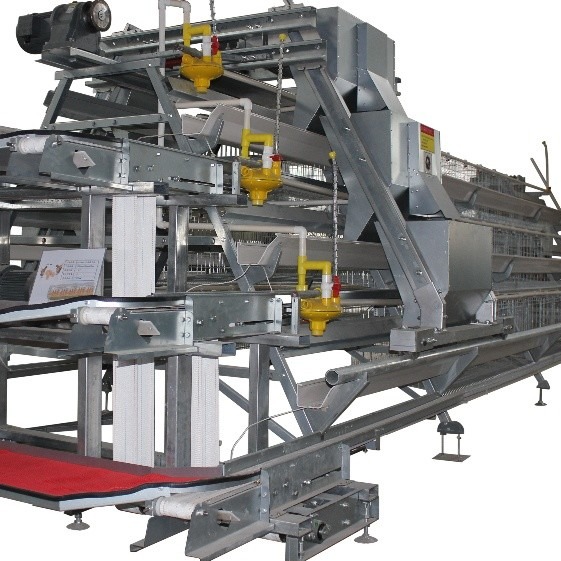 Buy 1950×2300×2000 Battery Egg Layer Cage Farming Equipment And Egg Collection Disinfection System at wholesale prices