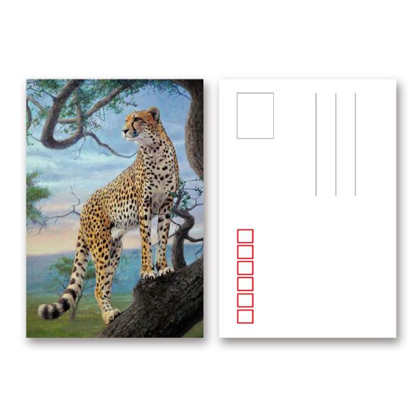 Customized 3D Lenticular Postcard For Holiday Decoration Gift CMYK Printing