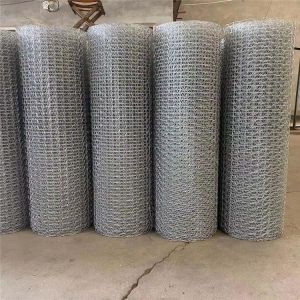 25mmx25mm Hexagonal Chicken Wire Mesh