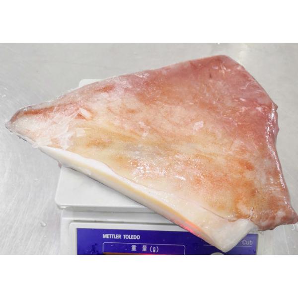 Block Frozen Giant Squid Fin Cartilage Off Bqf Size 300g - 500g Size