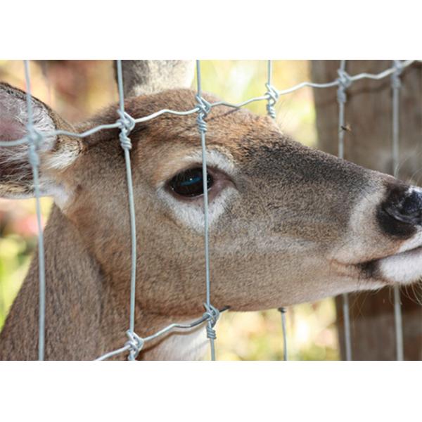 Silver Fixed Knot Deer Fence With Square Hole Shape Hot Dipped Galvanized