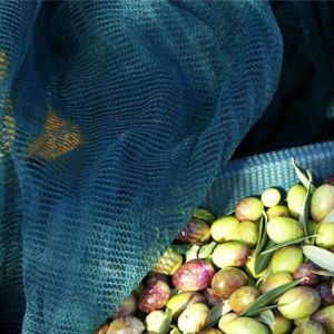 olive net harvet net collect | good quality harvest net