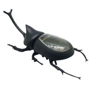 Promotional Solar Toys Solar Powered Beetle Insect Knowledge Educational Toys