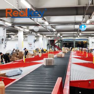 Customized Safety Automated Sorting Systems Warehouse Sortation Systems