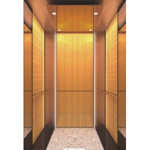 10 Persons Passenger Elevator CNAS Stainless Steel Lift Cabin