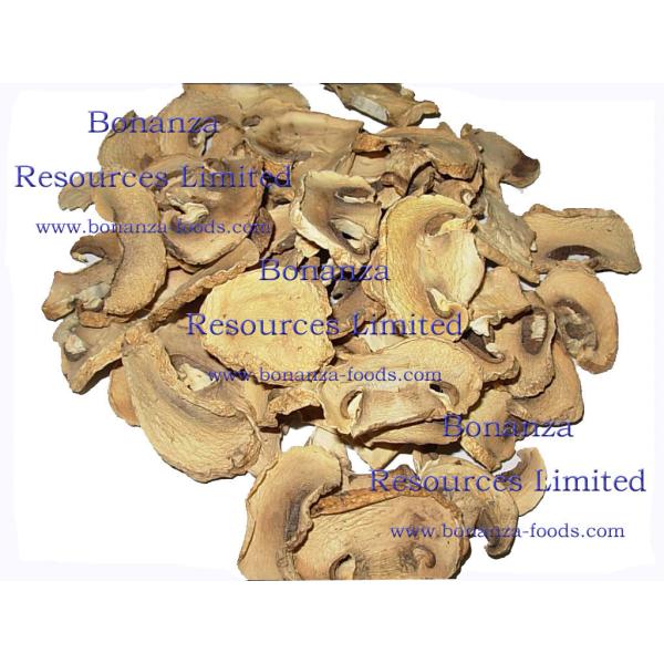 Buy Dehydrated Button Mushroom Chips at wholesale prices
