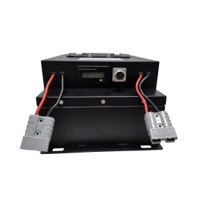 Golf Carts LiFePO4 Lithium Battery 60V 72V 96V Lithium Iron EV Battery Pack OEM