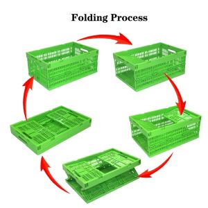 Logistic Transport Plastic Folding Crates for Farm Egg Storage and Transport