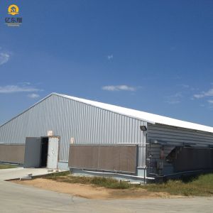 Steel Structure Poultry House Q235 Q345 S355 Galvanized Roof