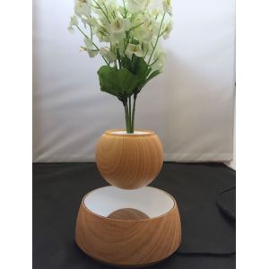 Magnetic Levitation Plant Pots, Potted Plants, AIR BONSAI pot tree