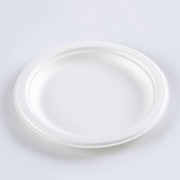 Bagasse Plates Sugarcane Bagasse Plate Eco Friendly Biodegradable Compostable Food Plate