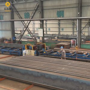 Customizable Steel Structure Factory with PVC Rain Spout