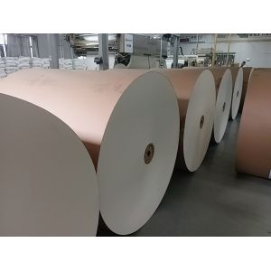 170g-350g Paper Cup Raw with 2000 Tons/month Production Ability by JW Paper Cup