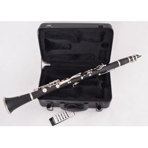 constansa instrumentProfessional Performance Level Ebony Wood Silver Plated 18