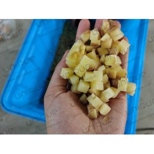Year Potato Dicing Machine Industrial Vegetable Cutting Machine with Customized