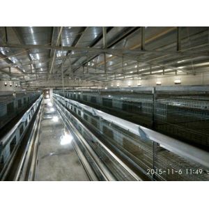 Silver Color Broiler Baby Chick Cage For Chicken Farm