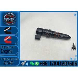 Construction Machinery PartsFuel Injector ForM11 PTDiesel13071497 4914328