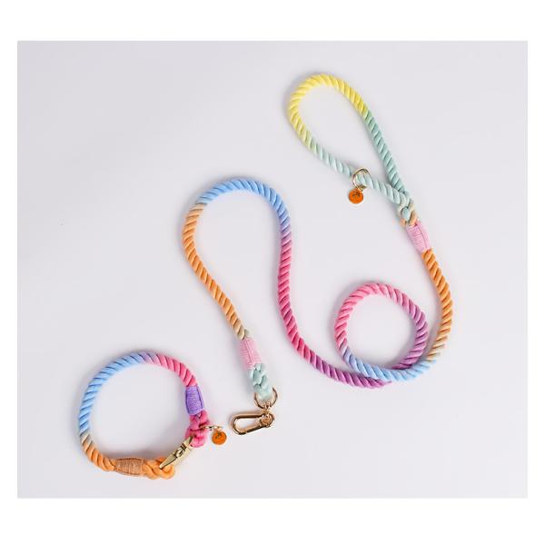 Multicolor Leash Collar Harness Set Walking Cotton Rope Training Dog Leash Collar Set
