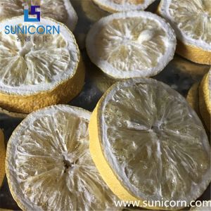 Powerful Commercial Lyophilizer 100sqm 1000kg Input Capactiy Easy Cleaning