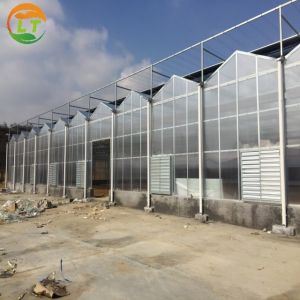 2021 Multi-Span Polycarbonate Invernadero Garden Greenhouse for Agriculture
