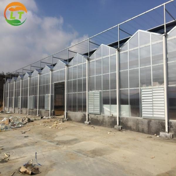 Buy Multi-Span Agricultural Greenhouses with Hot Galvanized Steel Transparent Solar Panels at wholesale prices