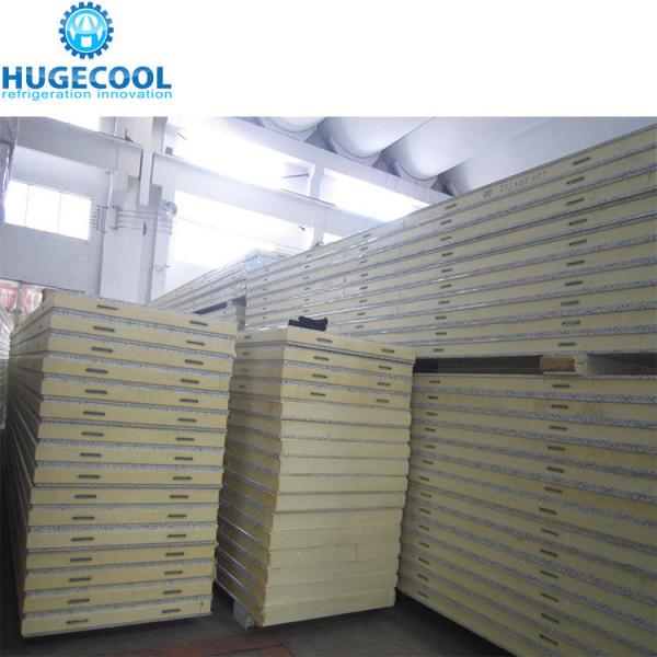 Efficiently Designed PU Panel Food Cold Storage Room for Chiller and Freezer