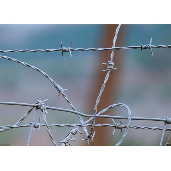 Buy Farm Protection Double Twisted PVC Coated /Galvanized Barbed Wire Coils at wholesale prices