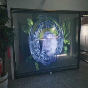 RGB Color P10 LED Transparent Film Screen Indoor H Flexible LED Display Screen