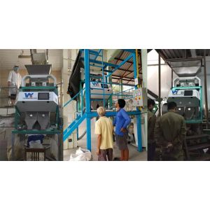 Smart 8 Chutes Wheat Paddy Grain Color Sorter CCD Optical CE ISO9001 CE