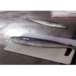 Sea Whole Round 1.5kg 2kg Block Quick Frozen Mahi Mahi Fish