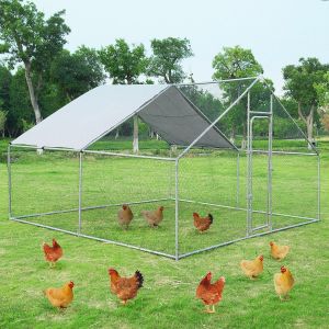 Stable Structure PE Roof OEM Chicken Run Kennel