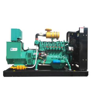 Quality Factory Directly Supply LNG CNG Natural Gas Generator 50kw with competitive price for sale
