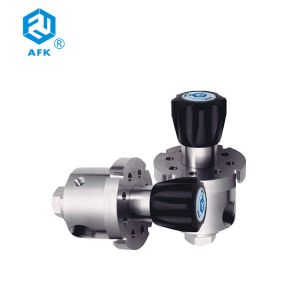 500psi NBR CE Stainless Steel Pressure Regulator For Laboratory R61