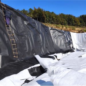Modern Design Style Double Smooth Geomembrane Fish Pond Liner 1mm for Artificial