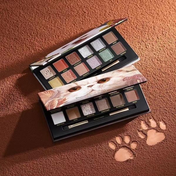 Rigid Cosmetic Packaging Box 12 14 Colour Eye Shadow Box Stamping