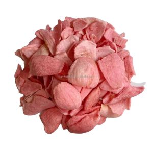 Fresh VF Vegetable Snacks Vacuum Fried Onion Slices for Wholesale OEM/ODM Onion