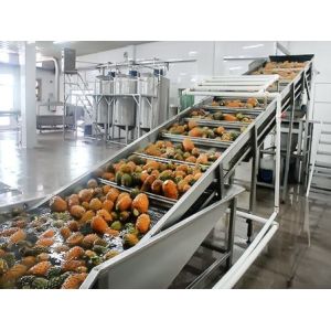 large-scale Fruit Juice Filling Production Line commercial fruits juice