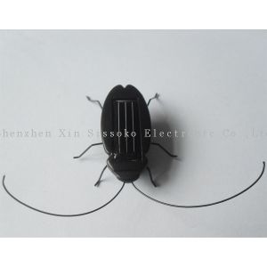 solar cockroach