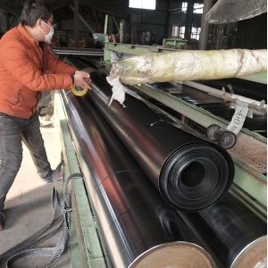 Double Texture HDPE Geomembrane for Tarpaulin Fish Farming Tank Double Smooth