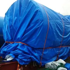 Waterproof Professional PE Tarpaulin Poly Tarps Sheet for Customer Requirements