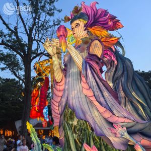 LED Outdoor Fairy Traditional Chinese Festival Lantern Waterproof 300CM