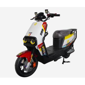 LY-ML300Electric motorcycle