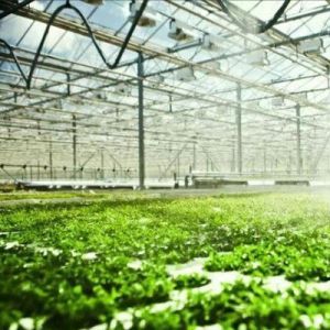 Double Layer Water Sprayer Controlled Illuminating Greenhouse for Planting