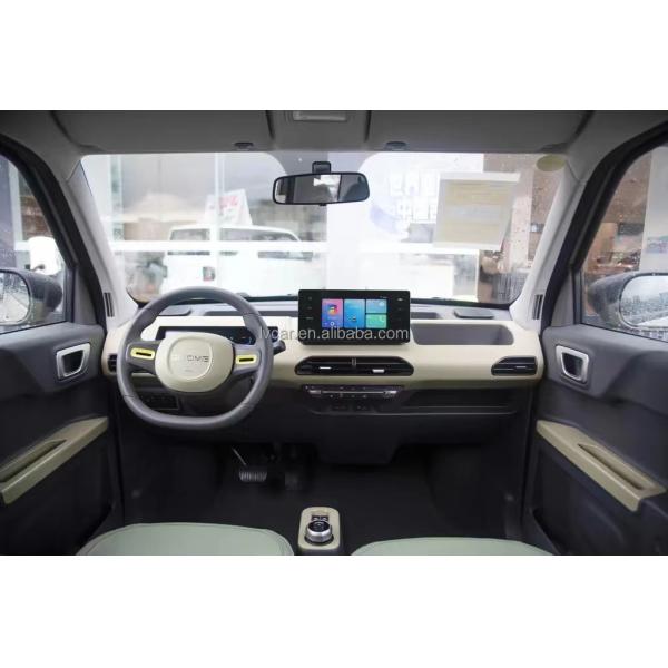 Small Electric Car Geely Panda Geome Mini EV 2024 Energy Vehicle with 120km Range