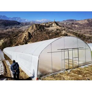 Sides Ventilation Plastic Tomato Greenhouse Resists Corrosion