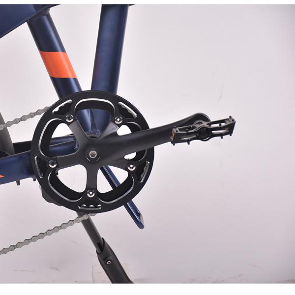 ODM 48V 500W Fat Tire Electric Mountain Bike Shimano 6 Gears Cargo Foldable Ebike